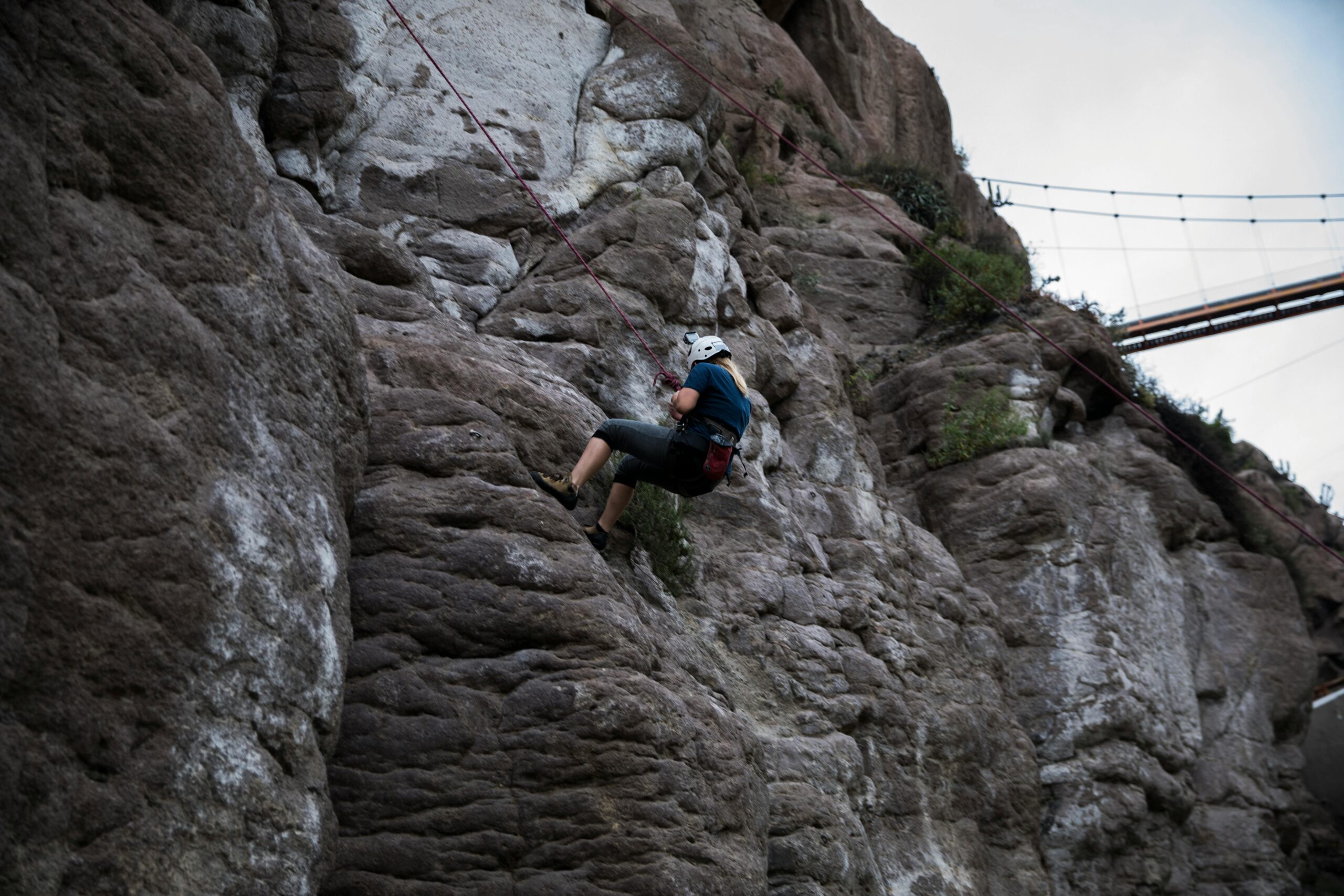 pexels-mariacamila-7436044